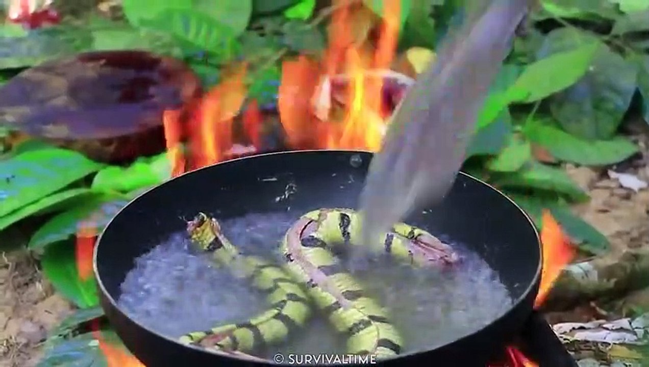 14 Bizarre Things Found Inside The Animals