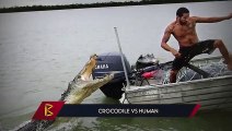 14 Extraordinary Savage Hunting Moments Of Crocodiles And Alligators Showing Their True Skills