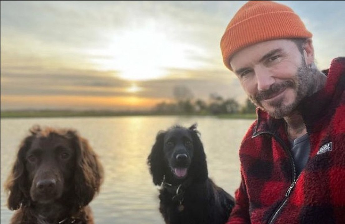 David Beckham ‘splashes out £50,000 on a glamping tent at country retreat’