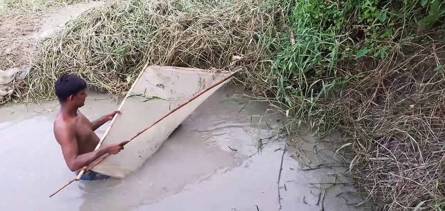 গ্রামে জাল দিয়ে মাছ ধরা