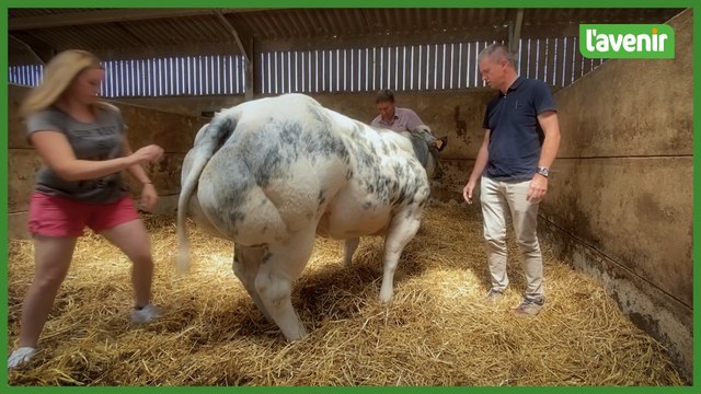 Dompteuse rêve du titre à la foire de Libramont