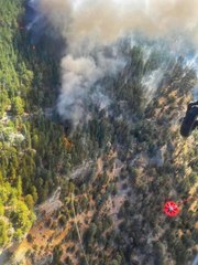 Son dakika haberi | Mersin'de çıkan orman yangınına müdahale ediliyor