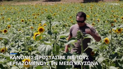 Εργατικά συνδικάτα: «Ζητούμε μέτρα προστασίας για όσους δουλεύουν εν μέσω καύσωνα»