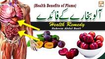 Aloo Bukhara Ke Fawaid (Plum Benefits) - Latest Bayan 2022 - Hakeem Abdul Basit #Healthtips