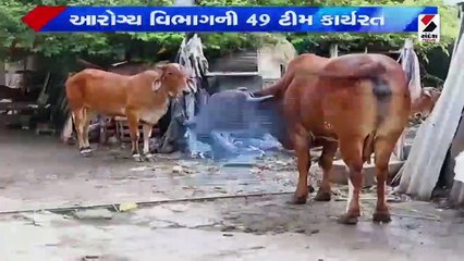 ગીરમાં લમ્પી વાયરસનો કહેર| મંગળવારે મુખ્યમંત્રીની અધ્યક્ષતામાં બેઠક
