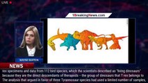 New study of T. rex fossils debunks theory that king of dinosaurs was misunderstood - 1BREAKINGNEWS.