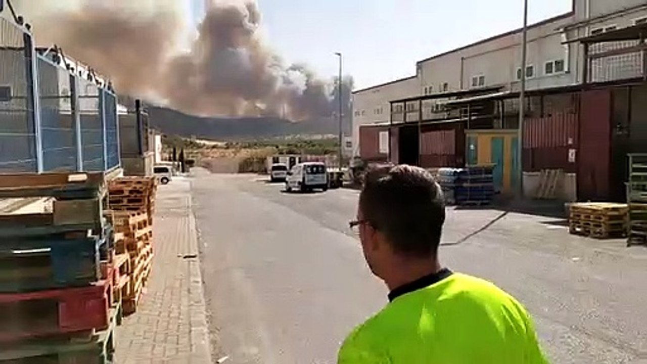 Declarado un incendio forestal en Espiel