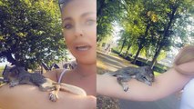 'Tender-hearted woman saves injured baby squirrel '