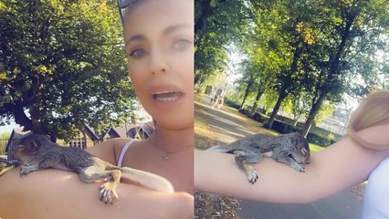 'Tender-hearted woman saves injured baby squirrel '