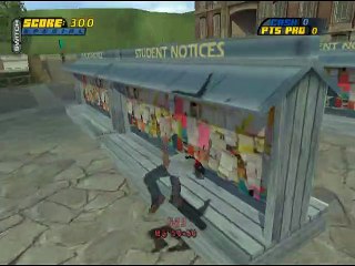 Tony Hawk's Pro Skater 4 online multiplayer - ngc
