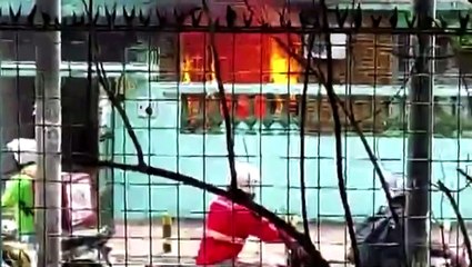 Incêndio é registrado em casa no bairro Montese, em Fortaleza
