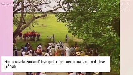 Último capítulo da novela 'Pantanal': quatro casamentos e uma morte surpreendentes