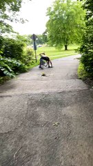 Man Apparently Falls Asleep While Riding Bike
