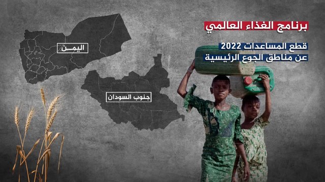 تفاؤل حذر.. هل يحل اتفاق إسطنبول أزمة تصدير الحبوب الأوكرانية؟