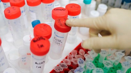 c7-pruebas-de-paternidad-250722