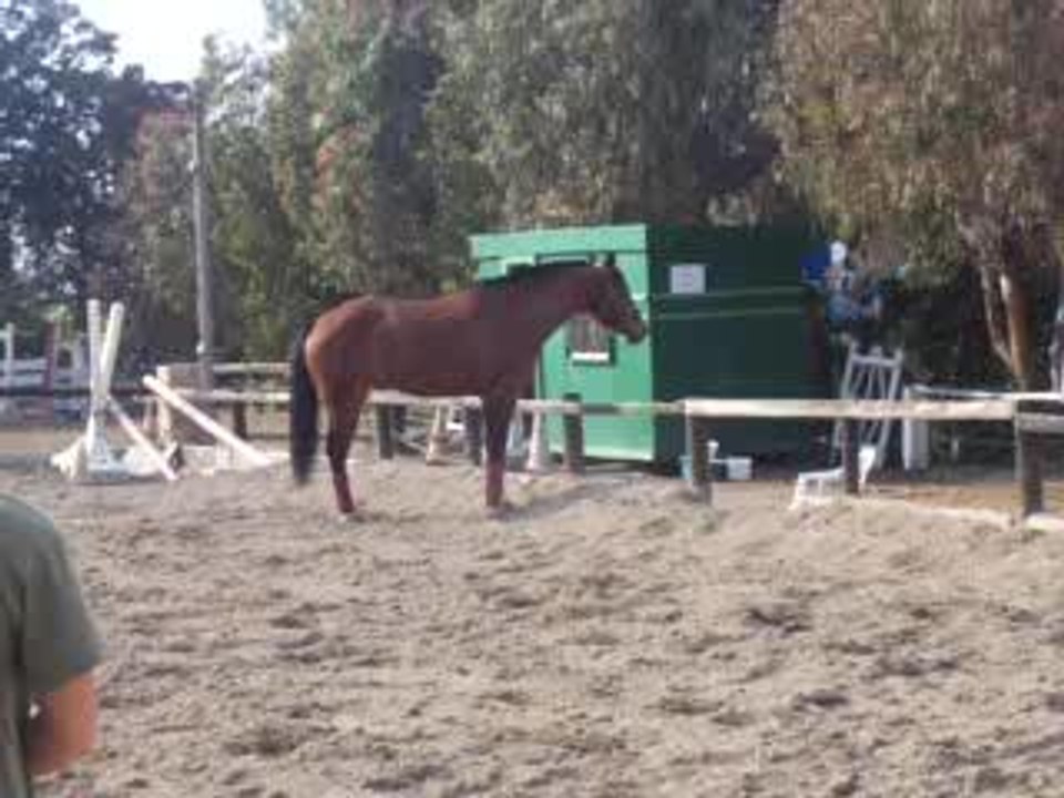 Kaline