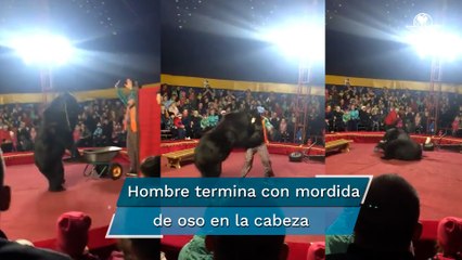 Domador vivió momentos de pánico en un circo tras ser atacado por un oso