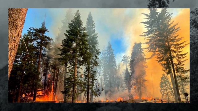 Very Bad News, Two Helicopters Were Destroyed Due To Fire In Idaho, USA.