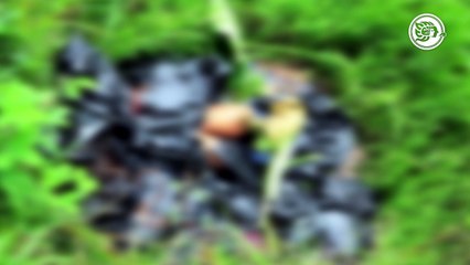 Veracruz, tercera entidad más mortífera para mujeres