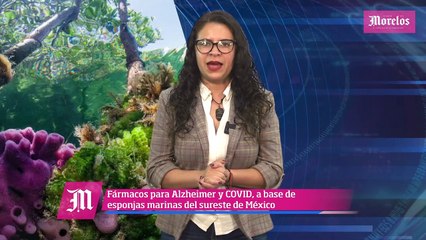 Ya son 12 municipios en rojo por aumentan casos de COVID19, esto y mucho más en Diario de Morelos Informa