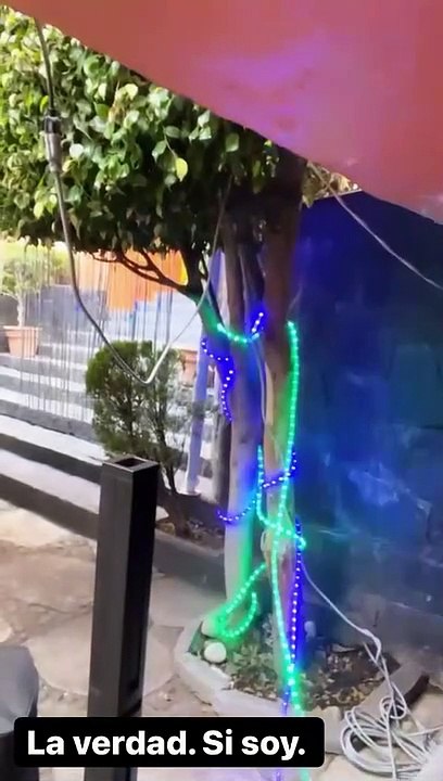 KALIMBA FELIZ DECORA ÁRBOL PARA CUMPLE DE SU HIJA MAYOR