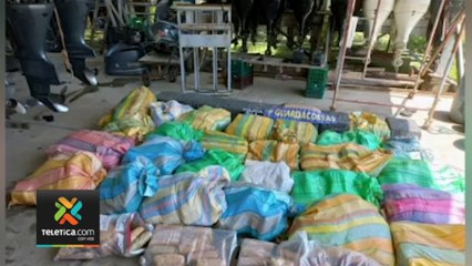 tn7-decomiso-droga-pacifico-sur-250722