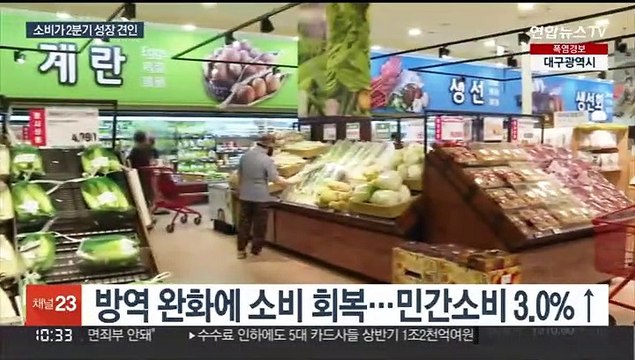 2분기 경제 0.7% 성장…민간소비가 성장 주도