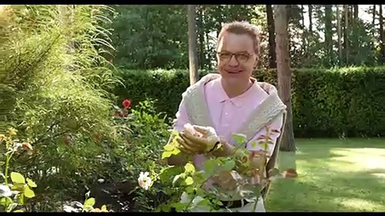 Hatching - Trailer