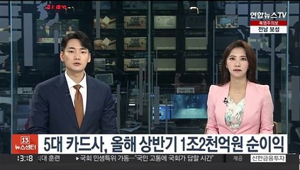 5대 카드사, 올해 상반기 1조2천억원 순이익