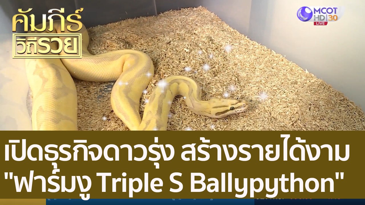 (คลิปเต็ม) เปิดธุรกิจดาวรุ่ง "ฟาร์มงู Triple S...