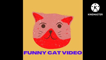 funny cat videos | entertainment | cute cat video