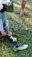 Viral seorang perempuan mendatangi sumami dengan membawa pisau