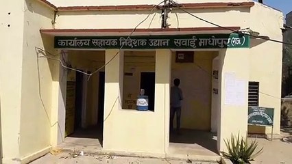 अब अमरूद के नए बगीचे लगाने पर इतना मिलेगा अनुदान
