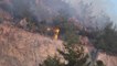 Aydın’da orman yangını kontrol altına alındı