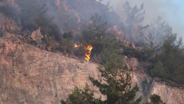 Aydın’da orman yangını kontrol altına alındı