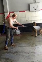 Bursa'da sıcaktan bunalan köpek böyle serinletildi