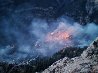 Orman yangınına müdahale sürüyor