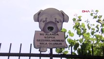 İstanbul’da parkta oynayan çocuğa pitbull saldırdı