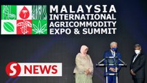 M’sia-China JV to produce hydrotreated vegetable oil, sustainable aviation fuel