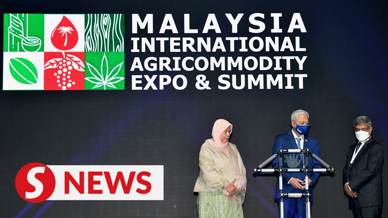 M’sia-China JV to produce hydrotreated vegetable oil, sustainable aviation fuel