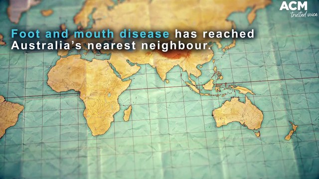 'Many farmers would shut up shop immediately', vets warn of foot and mouth disease impact | July 26, 2022 | ACM