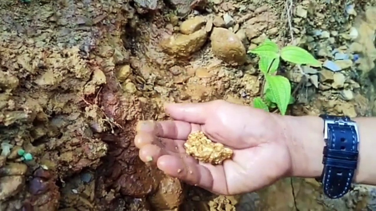 Gold Detector