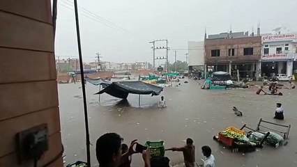 Rain in Jodhpur: बरसात ने किसानों की सब्जियों पर फेरा पानी, देखें Video