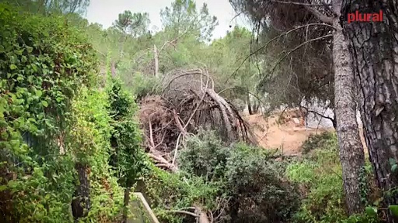 Vecinos de Valdemorillo denuncian el alto riesgo de incendio por la dejadez del Ayuntamiento: "Es una ratonera"