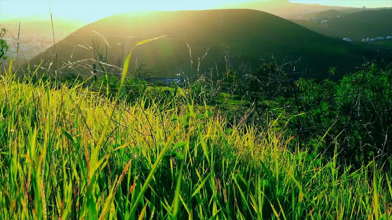 Footage - Countryside