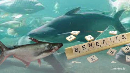 ikan yang dapat mengontrol kenaikan berat badan atau obesitas