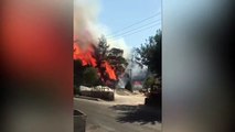 Marmaris'te orman yangını! Alevler yerleşim bölgelerinin çok yakınında