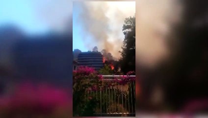 Marmaris'te yerleşim yeri yakınında orman yangını