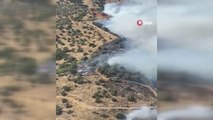 Son dakika gündem: İzmir'de ormanlık alanda yangın