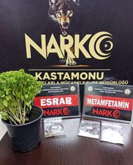 Son dakika haber... Çiçek saksısında uyuşturucu taşırken yakalanan 2 şüpheli tutuklandı